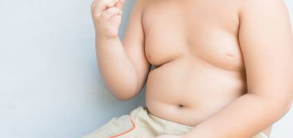 Studies tonen aan dat junkfood op scholen niet de belangrijkste oorzaak is van obesitas bij kinderen