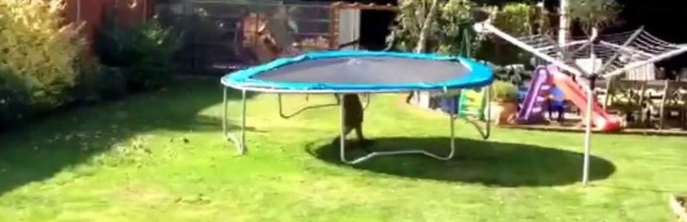 Où installer votre trampoline enfants ?